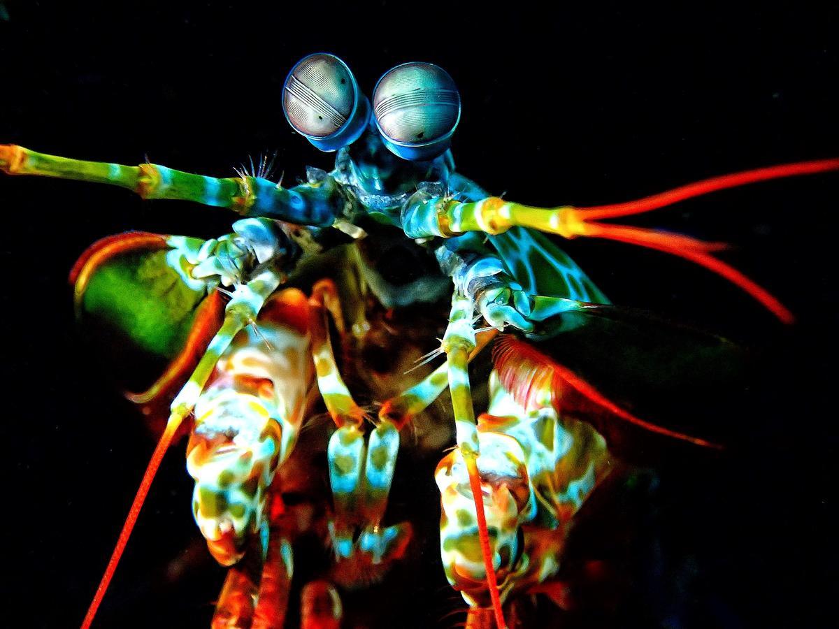 Pebble & Fins Bali Dive Resort Tulamben  Ngoại thất bức ảnh